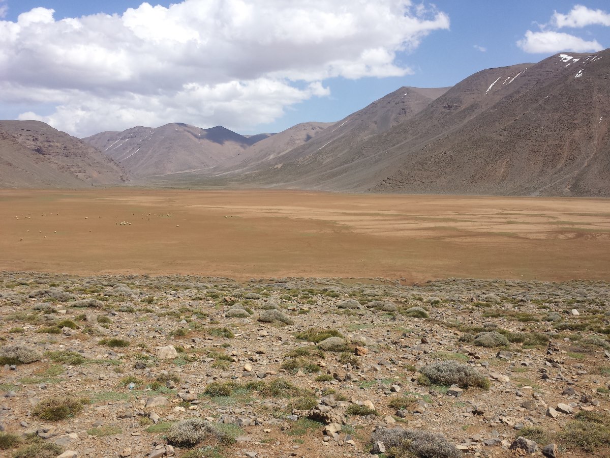 Lac temporaire d'Izourar : pelouse de montagne, à l'amont de l'Assif des Aït Bou Guemmaz